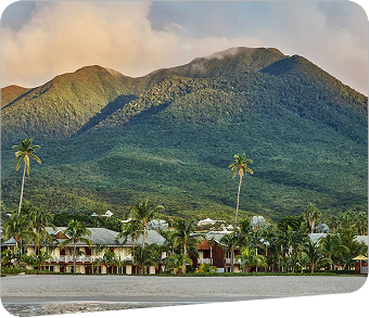 Nevis Offshore Trust and LLC