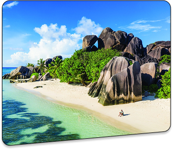 Seychelles IBC Formation